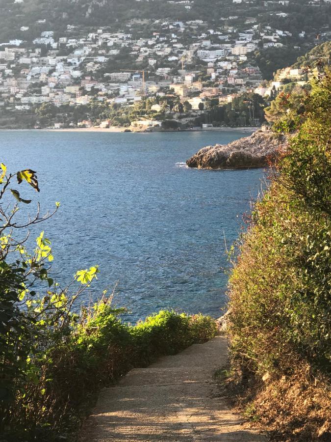 Les Lilas Roquebrune-Cap-Martin Exteriér fotografie